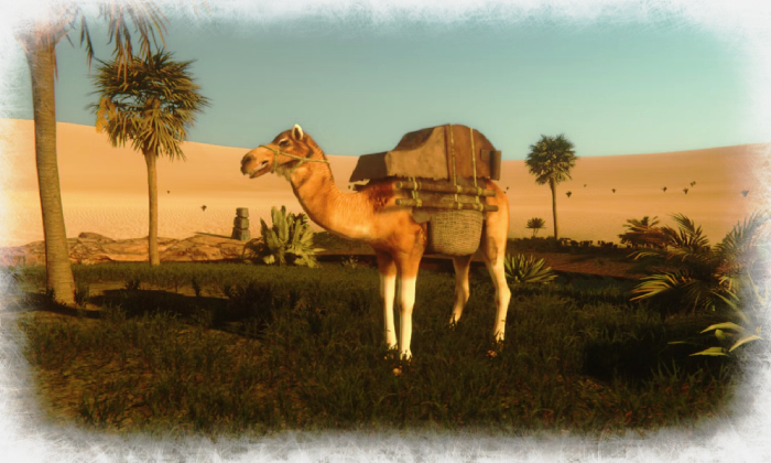 Tame a camel as soon as possible